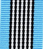 Ribbon Key Ring