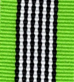 Ribbon Key Ring