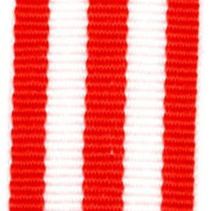 Ribbon Key Ring